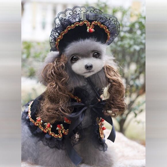 Gold Rose Princess Victoria Set - Picture 3 of 4